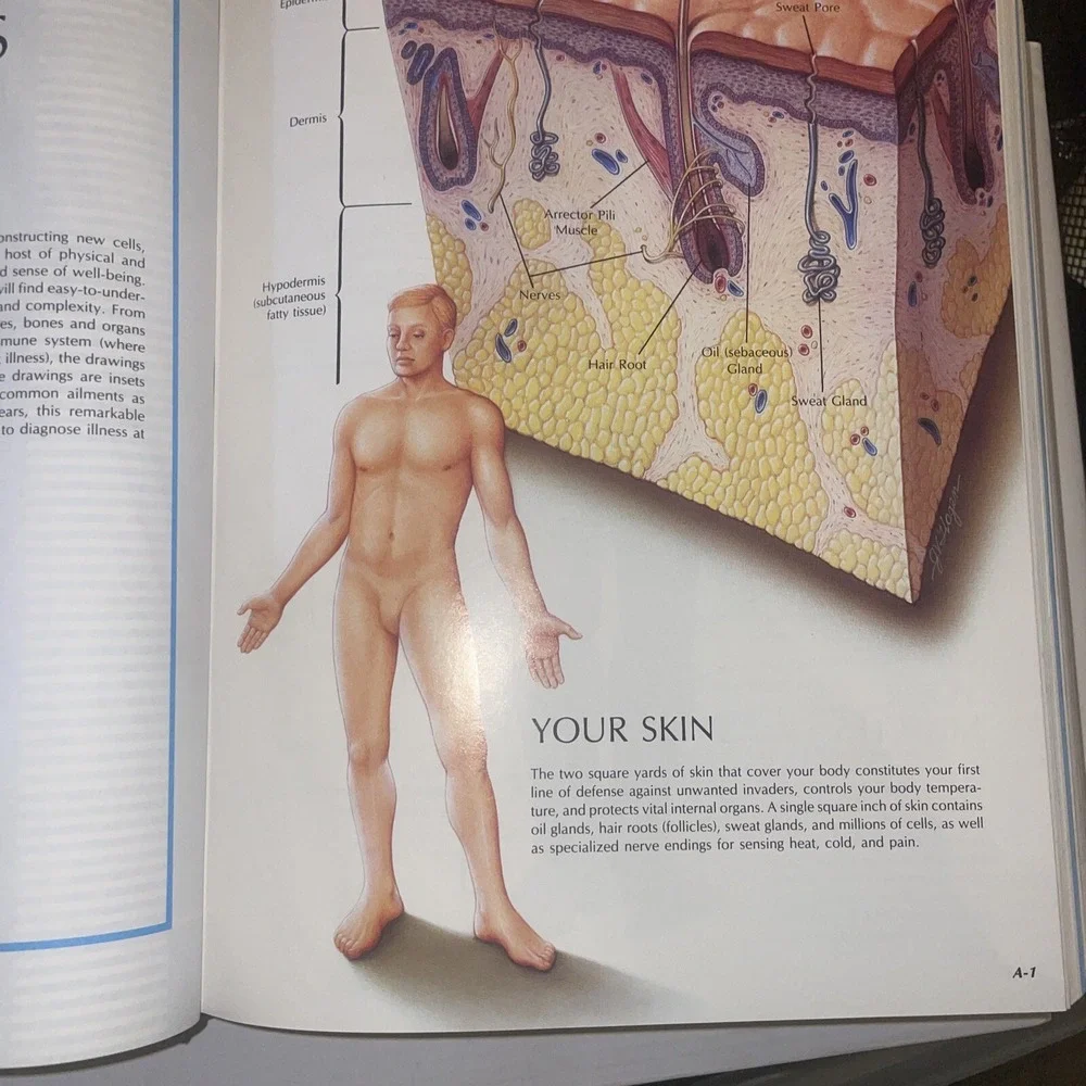 MAYO CLINIC FAMILY HEALTH BOOK Illustrated Home Medical Reference HCDJ 1990 XLNT